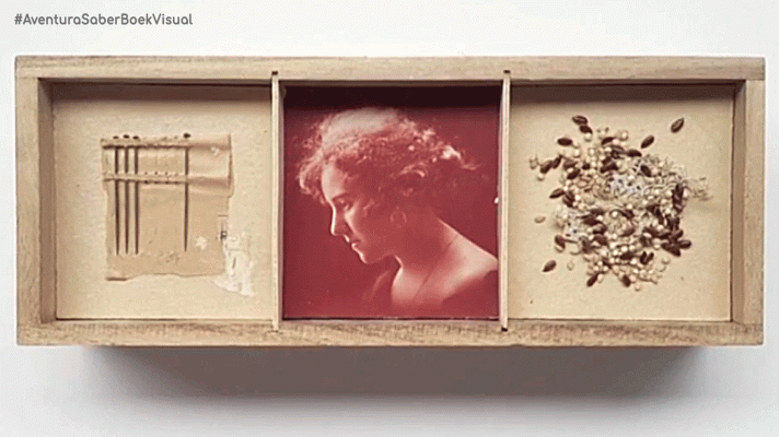 La aventura del Saber - Boek visual: Eugenia Conde