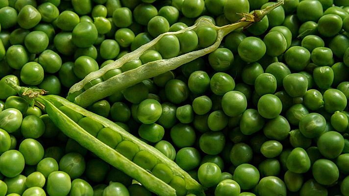 Saber vivir - Las legumbres tiernas de primavera