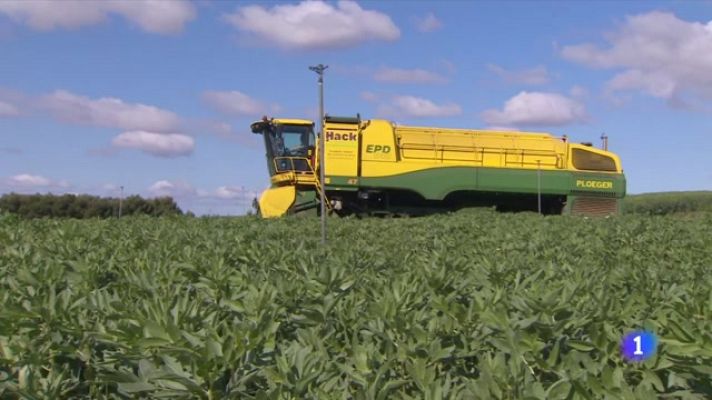 Telediario 1 - El sector del congelado navarro