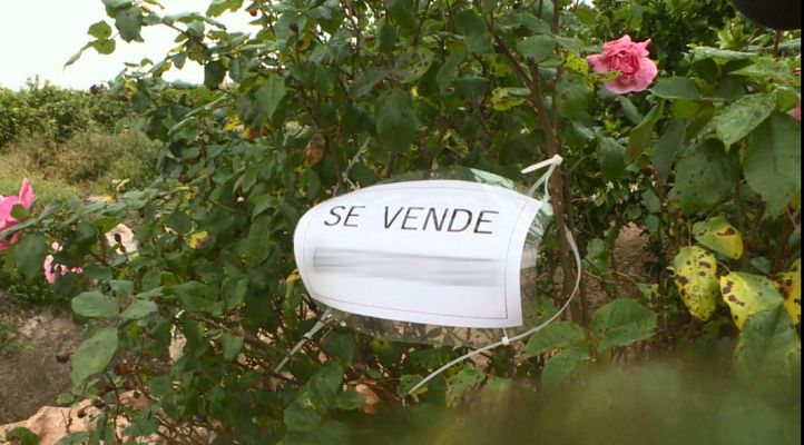 Repor - El campo es capital