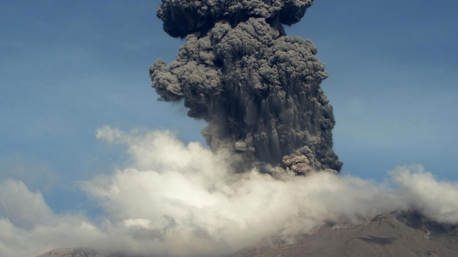 Los Andes salvajes - Patagonia indómita - ver ahora