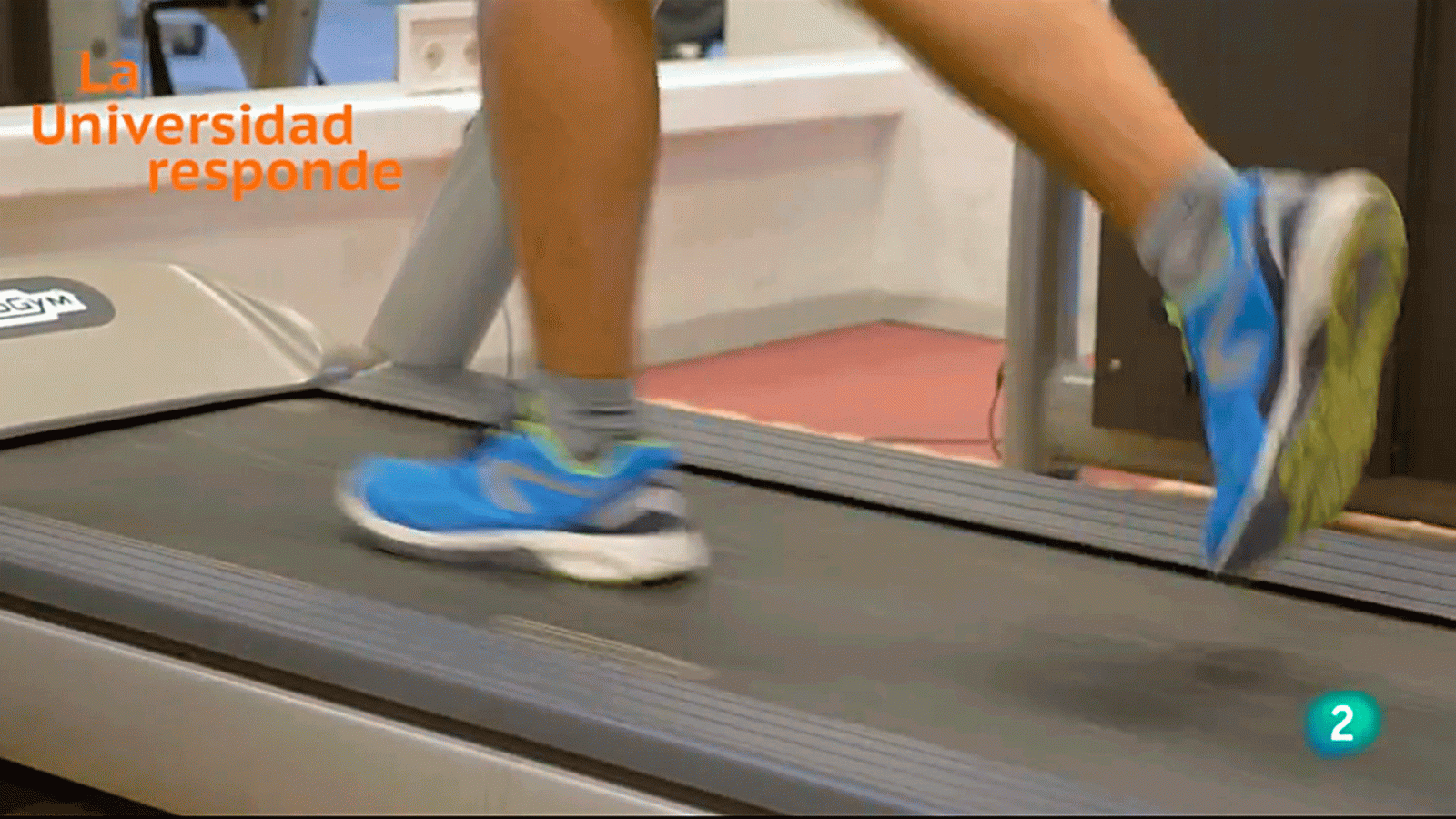 La aventura del saber la vigorexia deporte Miguel Hernández de Elche Universidad Responde #AventuraSaberUResponde