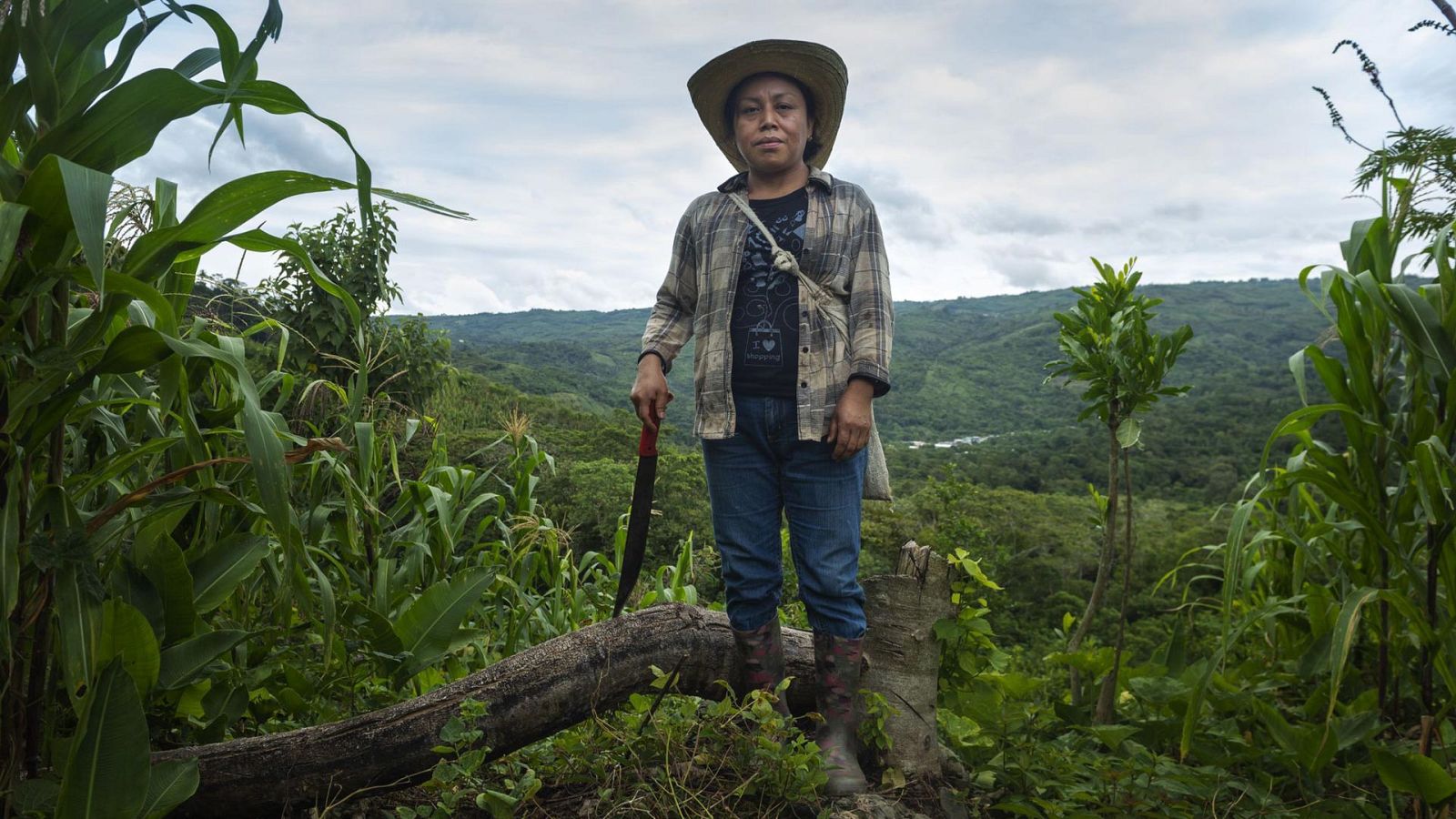 Para todos La 2 - 08/05/21 - Lengua de signos - ver ahora