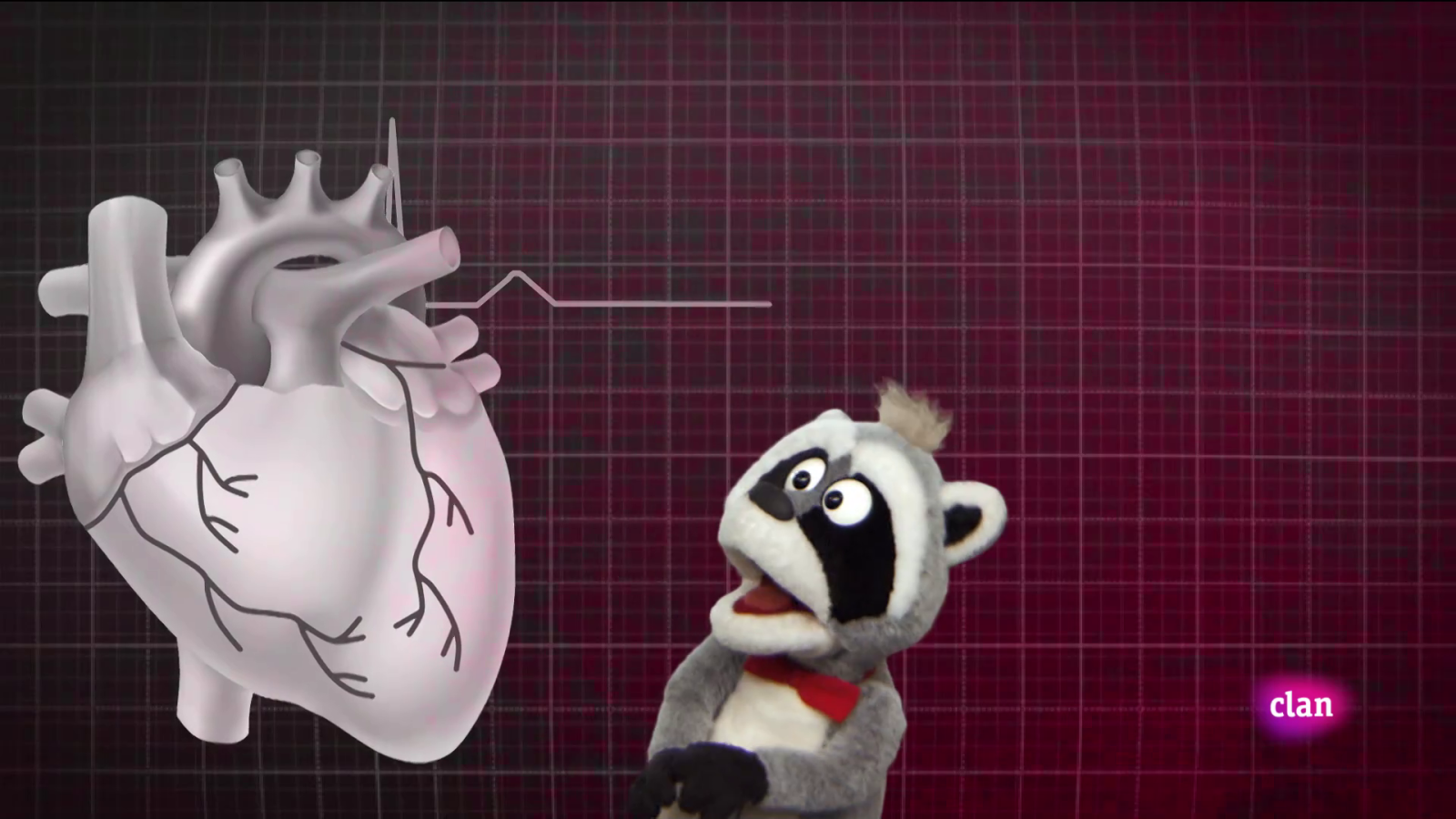 Aprendemos en Clan - ¡Aparato circulatorio! - RTVE.es - Aprendemos en Clan | Ver