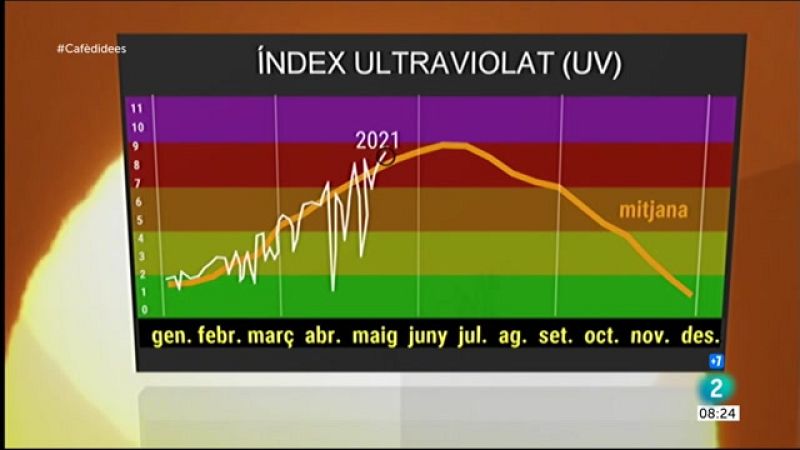 Cafè d'Idees -  El sol crema tant com a ple estiu - Cafè d'idees | Veure