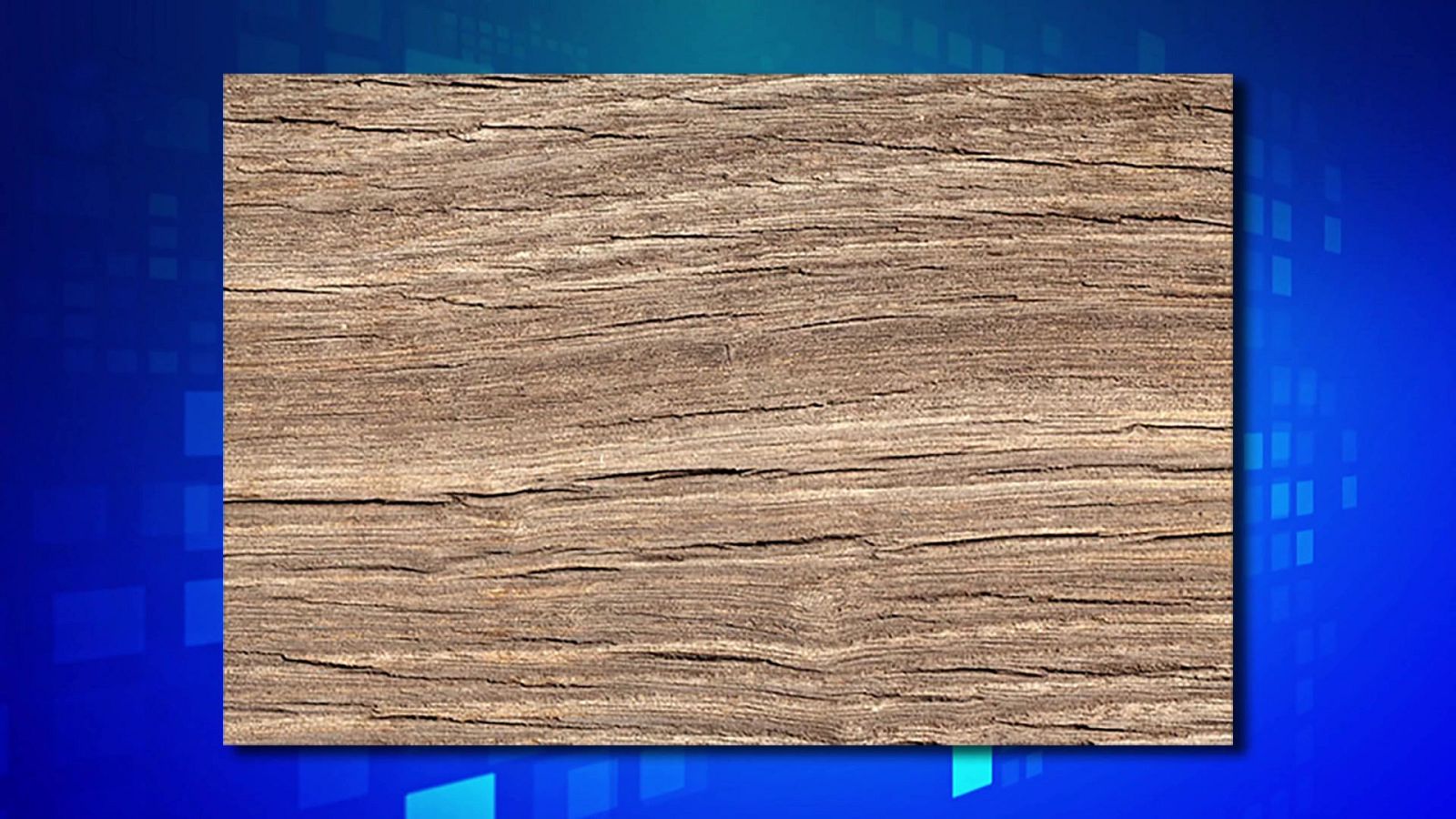 Saber y ganar. Edición de fin de semana - 15/05/21 - ver ahora