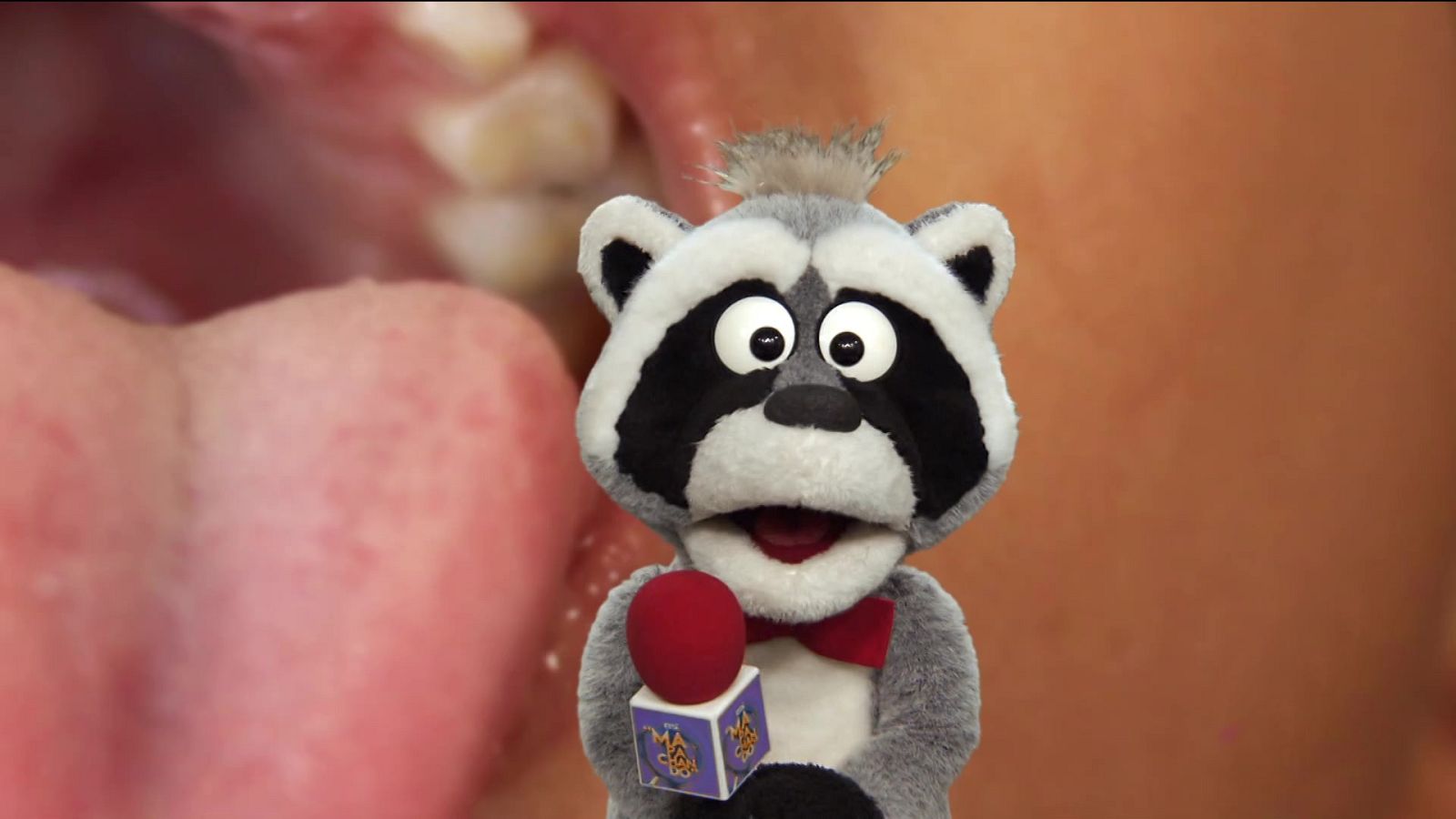 Aprendemos en Clan - La digestión - RTVE.es - Aprendemos en Clan | Ver