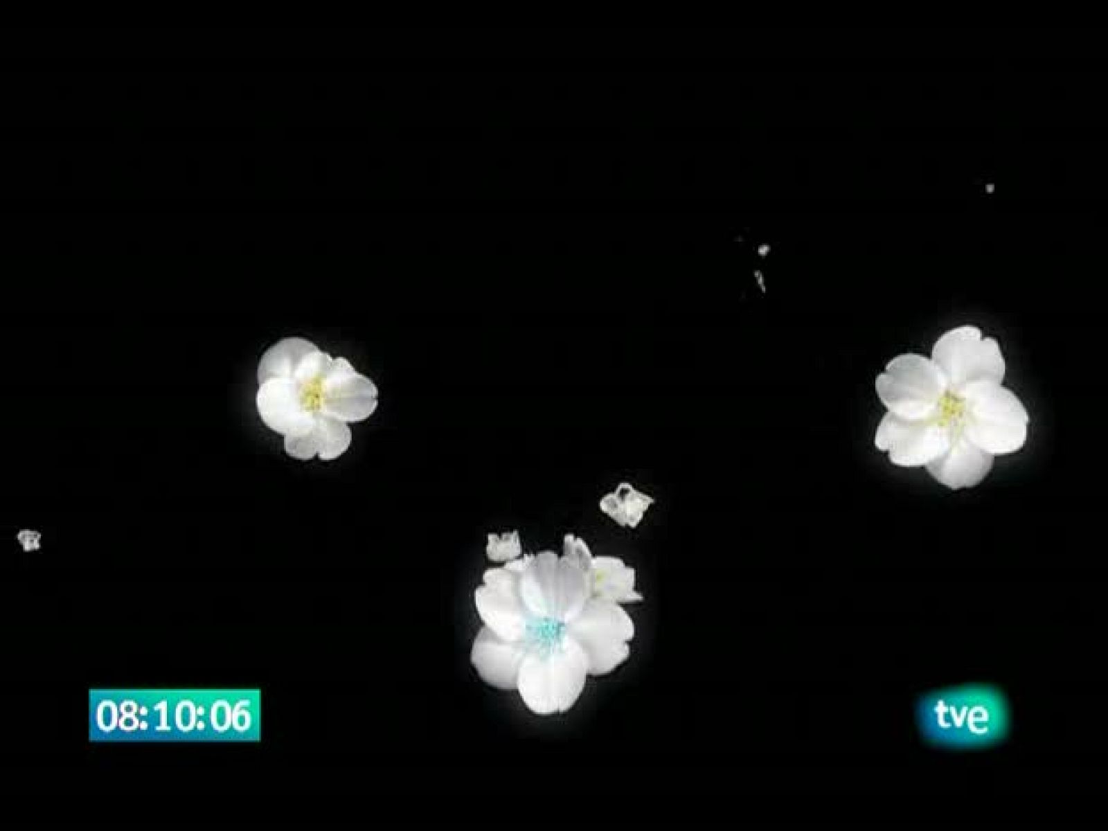 El jardín de los sueños - El Jardín de los Sueños | Ver