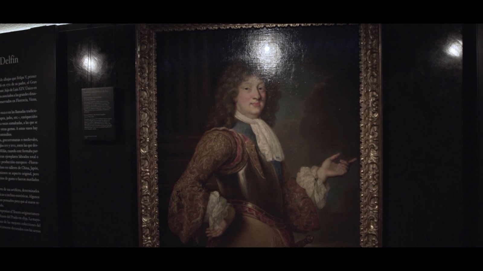 Guardianes del Patrimonio - Operación Delfín - ver ahora