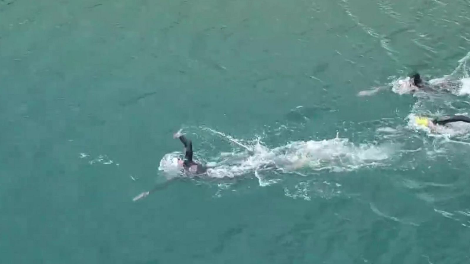 Natación Aguas abiertas  - Campeonato de Europa. 10 km masculino - ver ahora