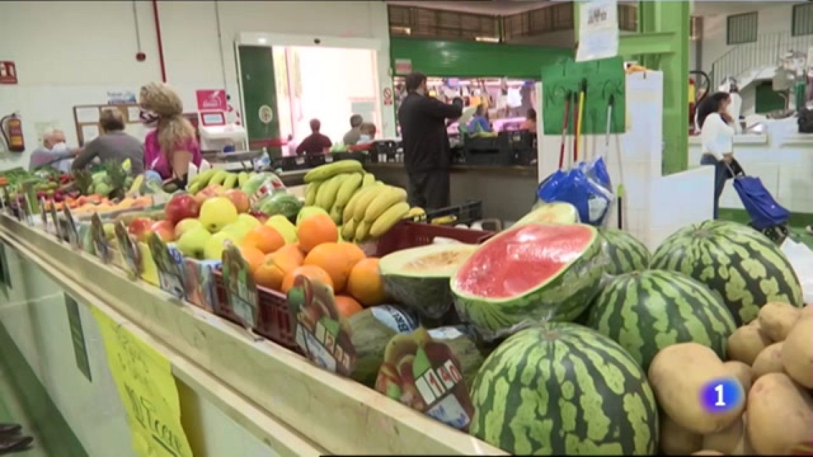 Las primeras sandías de Europa, las de los campos de Almería - Noticias Andalucía | Ver