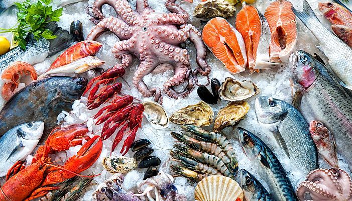 Saber vivir - ¿Qué mariscos hay ahora de temporada?