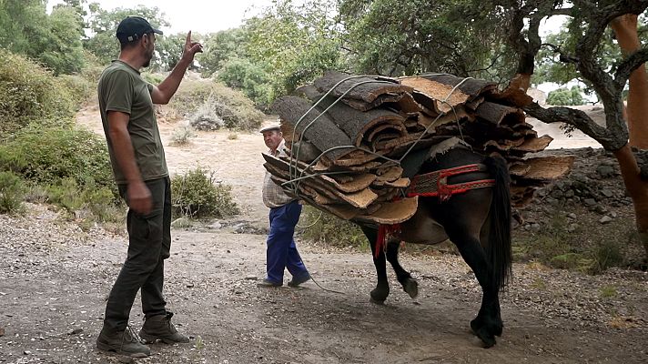 Ruralitas - Sierra de las Encinas (Málaga) San Esteban de Gormaz (Soria)