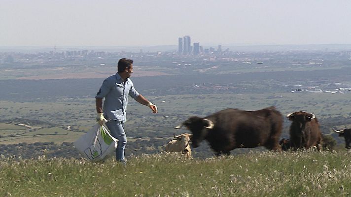 Tendido cero - Tendido cero - 15/05/21