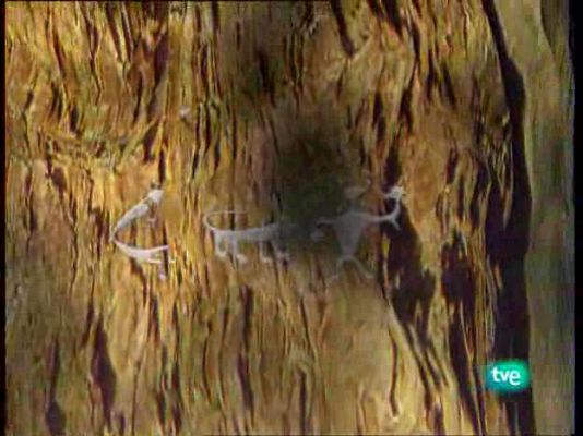 La ruta alternativa - La tierra de los bosques mágicos