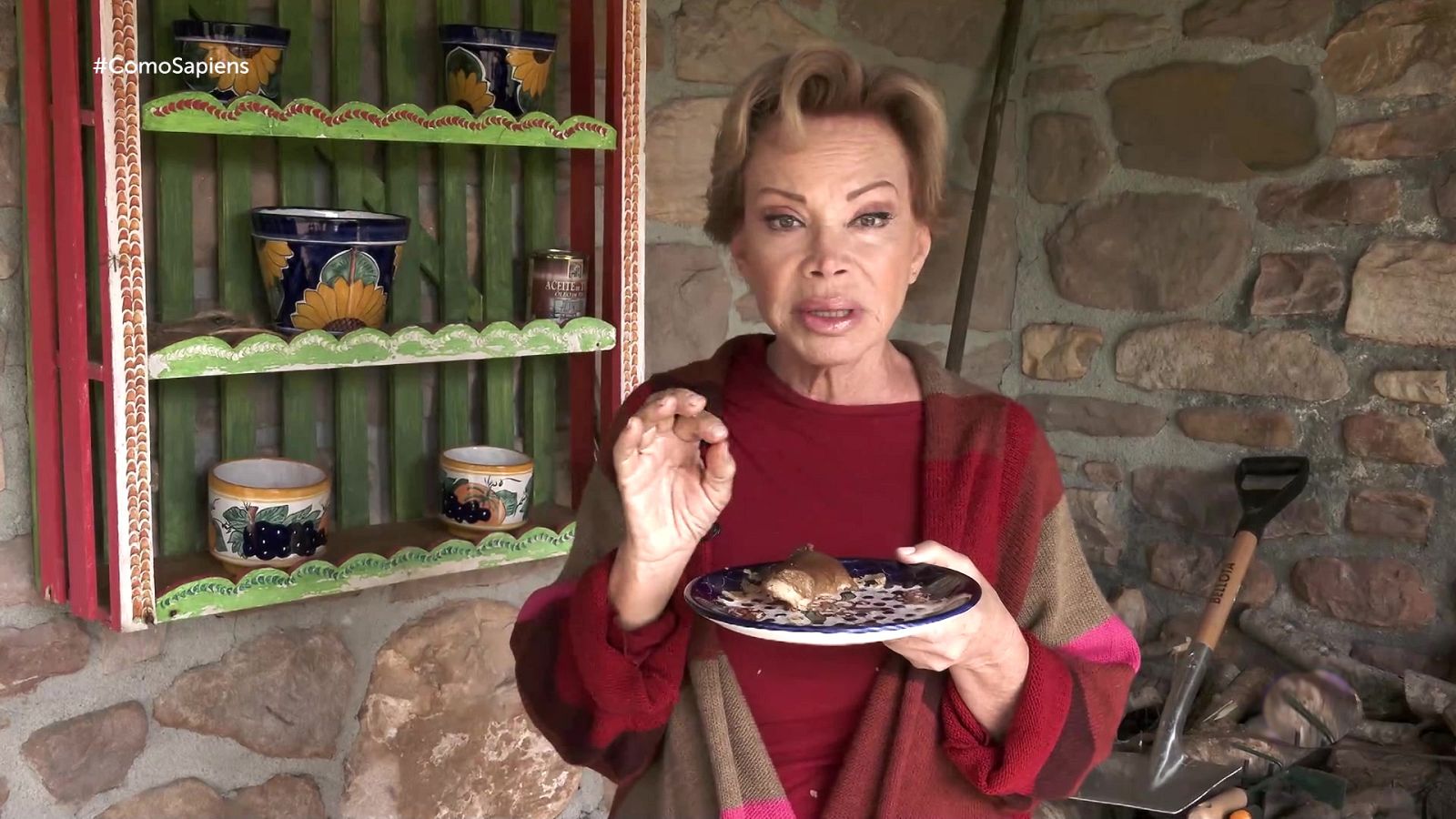 Como Sapiens - Programa 57: Azafrán, pavo relleno y tortilla de Betanzos - ver ahora