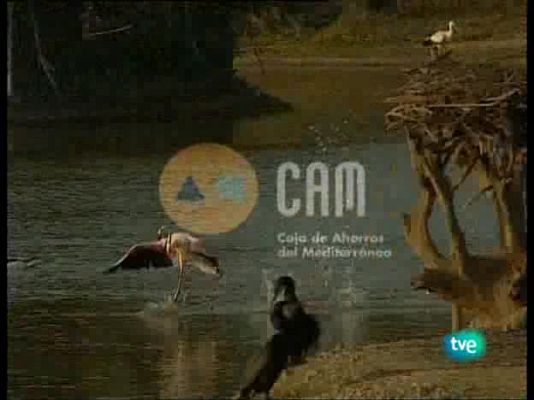 Guardianes de hábitat - Sobre tejados y cavernas