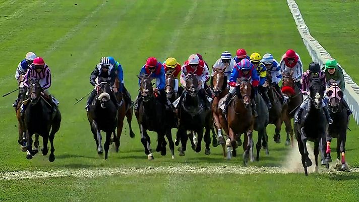 Hípica - Circuito nacional de carreras de caballos (Hip. La Zarzuela)