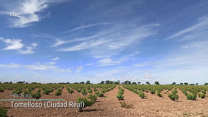 El tiempo - Intervalos de vientos fuertes en Canarias