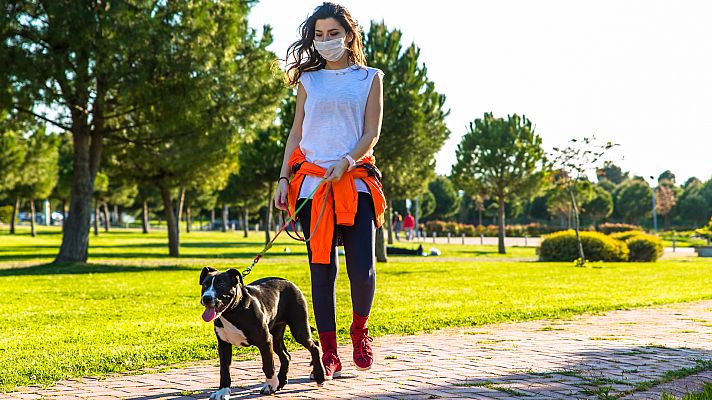 Informativo 24h - Simón avanza que "es muy probable" que "en no muchos días" se pueda relajar el uso de mascarilla en exteriores