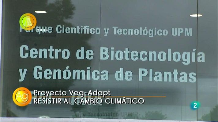 Agrosfera - Vega-Adapt