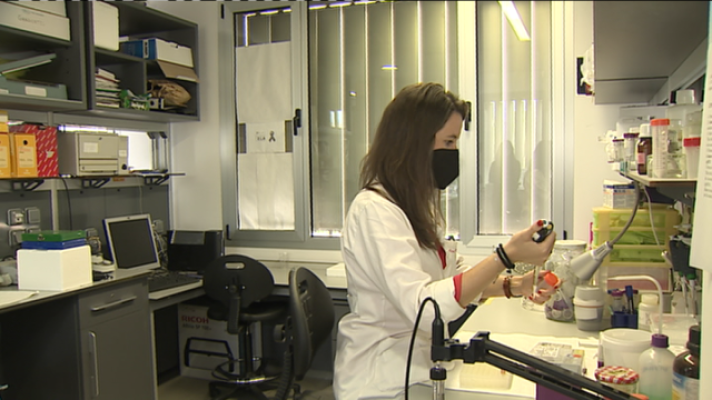 Telecanarias - Telecanarias 2 - 17/05/2021