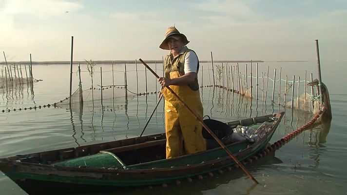 Comando Actualidad - Huertos del mar