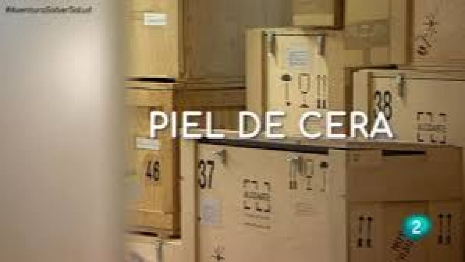 La aventura del saber Piel de cera Dermatología museo Olavide enfermedades medicina #AventuraSaberSalud