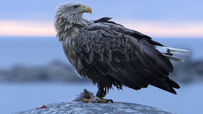 Somos Documentales - El mar que desapareció