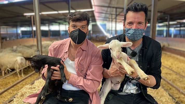 Aquí la Tierra - Aprendemos a elaborar quesos de granja con Blas Cantó