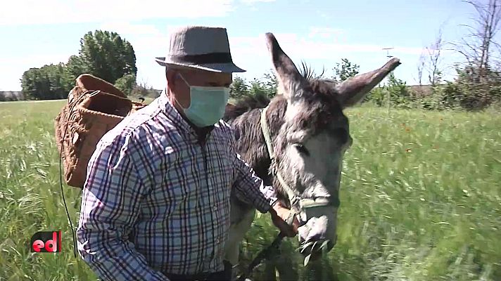 España Directo - España Directo - 19/05/21