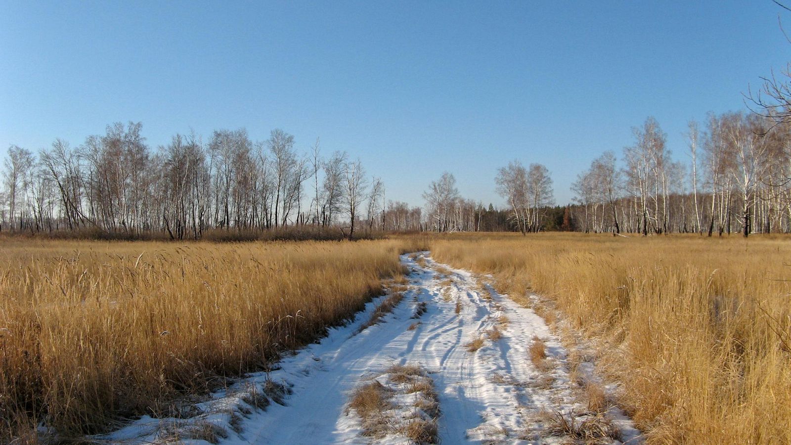 Caminos extremos - Siberia - ver ahora
