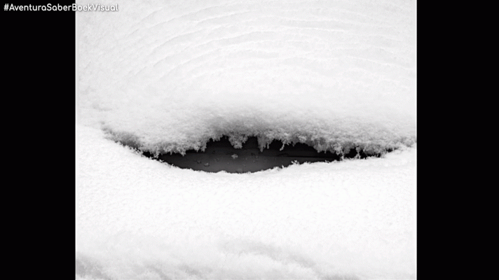 La aventura del Saber - Boek visual: Héctor Jácome