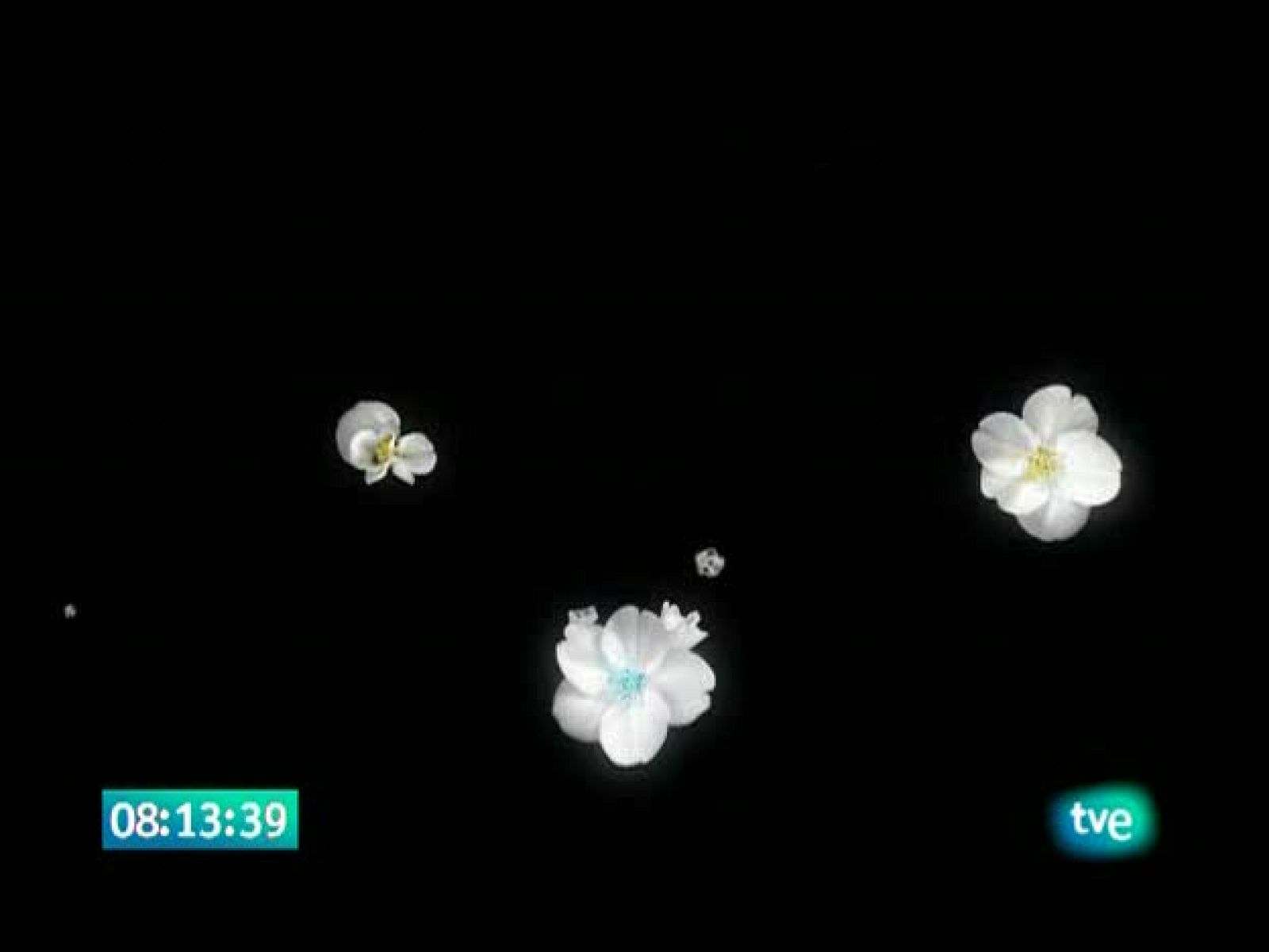 El jardín de los sueños - El Jardín de los Sueños | Ver