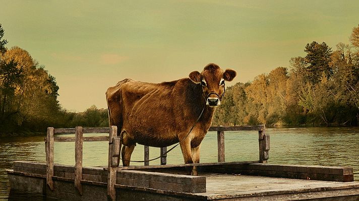 Días de cine - Días de cine - 'First cow'