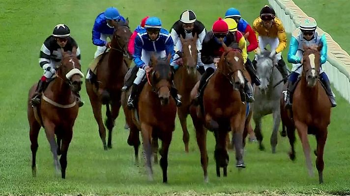 Hípica - Carreras de caballos desde el hipódromo de La Zarzuela