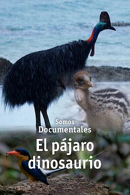 Somos Documentales - El pájaro dinosaurio