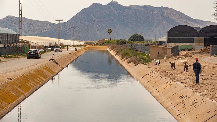 Telediario 1 - Los agricultores de regadío critican el recorte del trasvase del Tajo al Segura