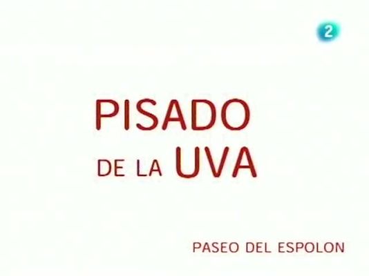 Informativo Telerioja - Pisado de la Uva