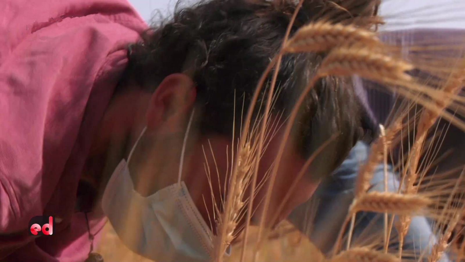 España Directo - 24/05/21 - ver ahora