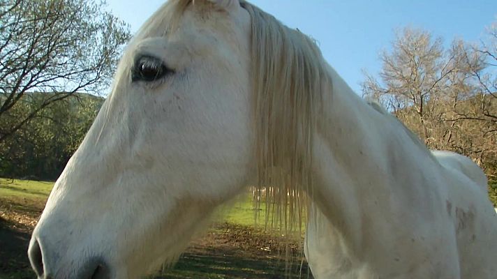 Aquí la Tierra - Aquí la Tierra - 24/05/21