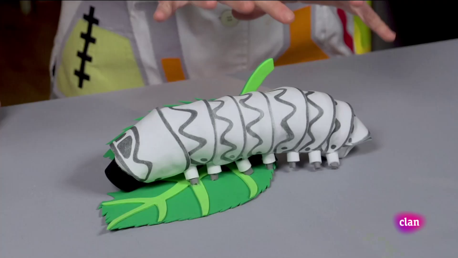 Aprendemos en Clan - CIENCIAS NATURALES - Los gusanos de seda - RTVE.es - Aprendemos en Clan | Ver