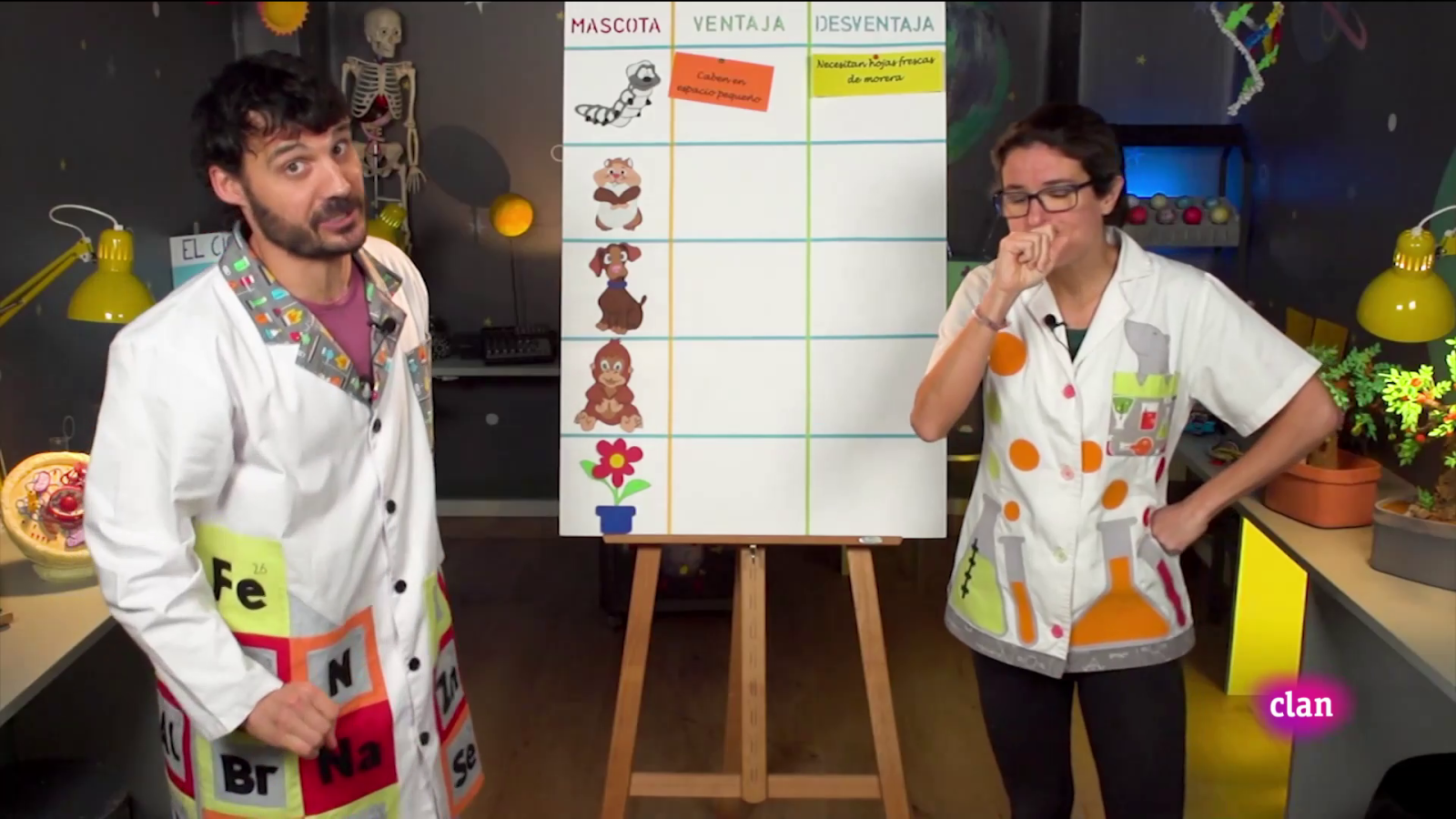 Aprendemos en Clan - RETO - Mascotas en el agua - RTVE.es - Aprendemos en Clan | Ver