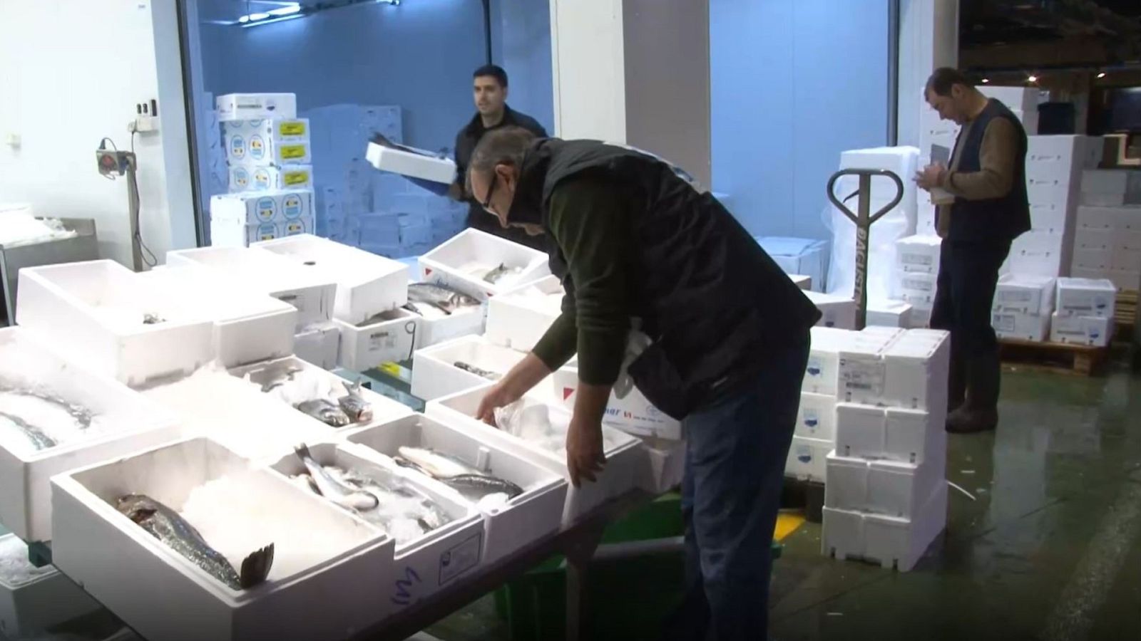 Comando Actualidad - Alimentos cuestionados - ver ahora