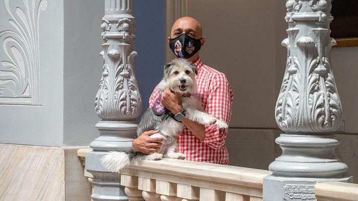 Noticias Murcia - Sheldon es un perro de alerta médica que no pudo viajar con su dueño Jorge