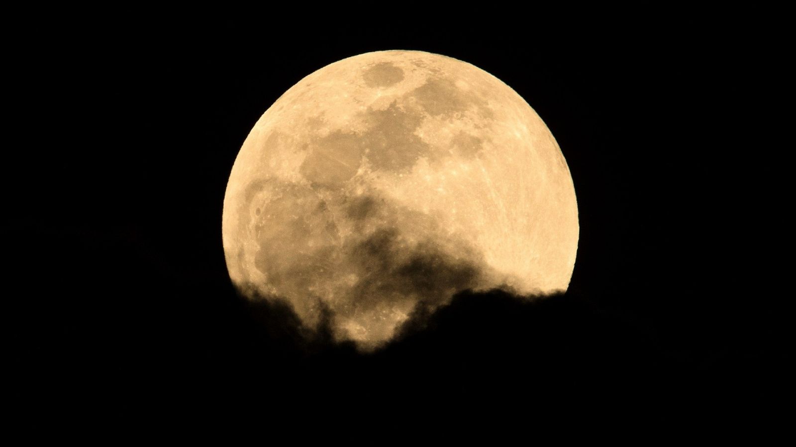 La Luna llena de las flores