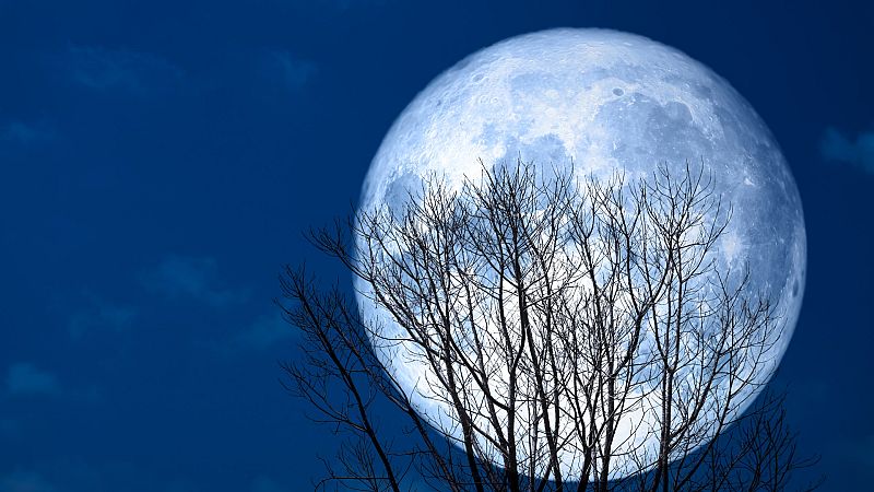 A la actual superluna de las flores le seguirá la de fresa, del trueno o del esturión - La hora de La 1 | Ver