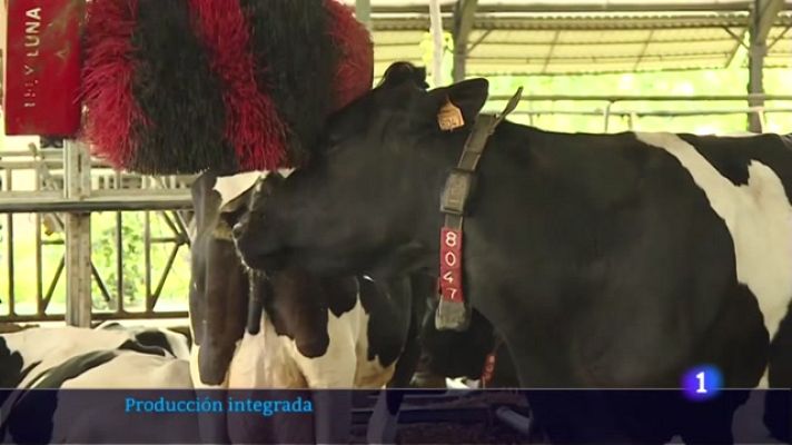  - Hay granjas en Una de las granjas navarras que se dedican a la producción integrada