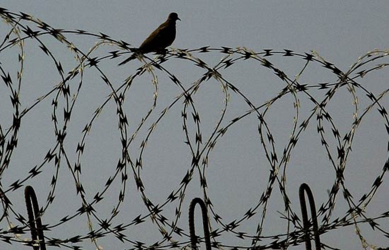 Informe semanal - El alma de los verdugos, las tinieblas del poder | Ver