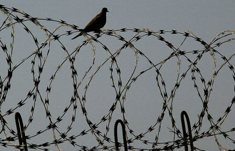 Informe semanal - El alma de los verdugos, las tinieblas del poder | Ver